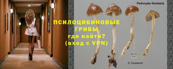 мяу мяу мука Вяземский