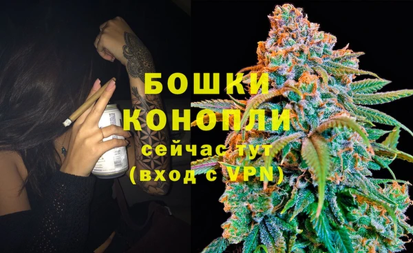 мяу мяу мука Вяземский