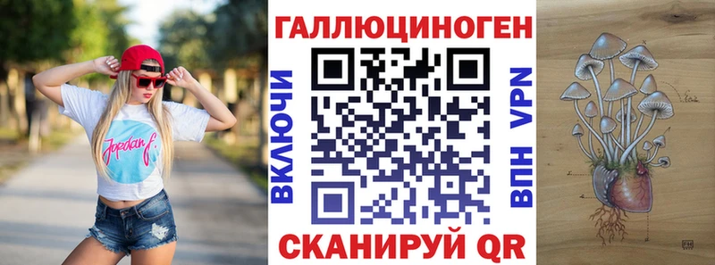 Галлюциногенные грибы Psilocybe  Тверь 