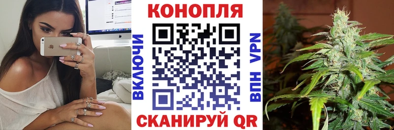 Канабис план  Тверь 